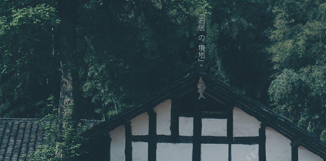 小企鹅逃生